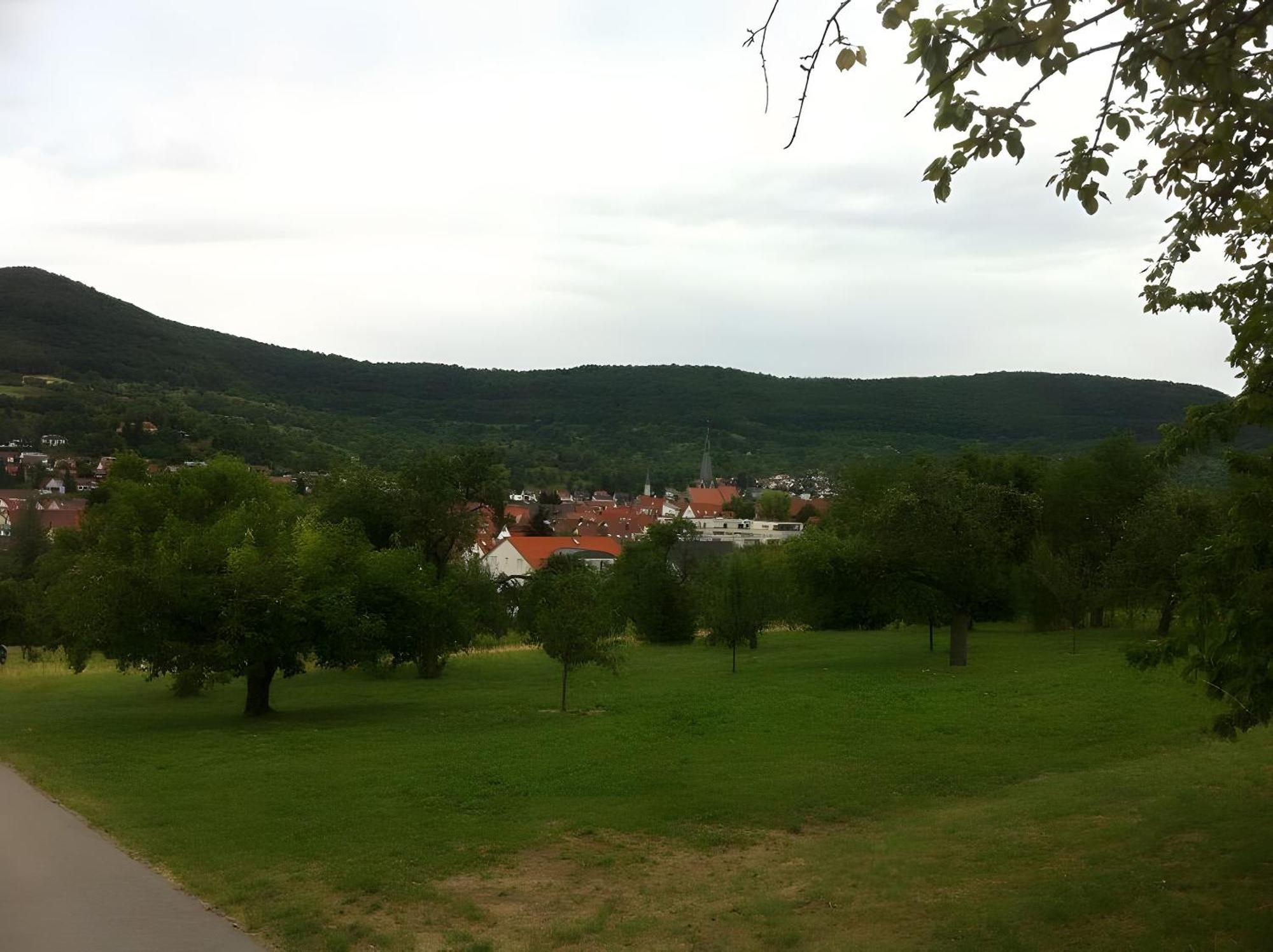 Ferienwohnung Holder Dettingen an der Erms Buitenkant foto